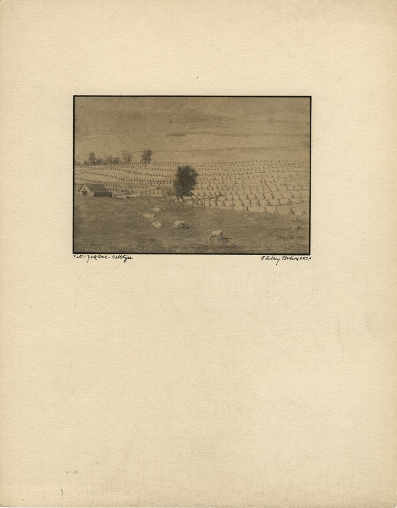 Click for larger image